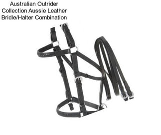 Australian Outrider Collection Aussie Leather Bridle/Halter Combination