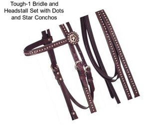 Tough-1 Bridle and Headstall Set with Dots and Star Conchos