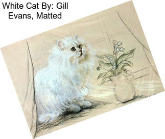 White Cat By: Gill Evans, Matted