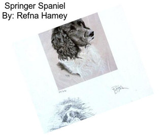 Springer Spaniel By: Refna Hamey