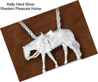 Kelly Herd Silver Western Pleasure Horse