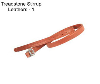 Treadstone Stirrup Leathers - 1\