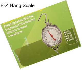 E-Z Hang Scale