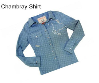 Chambray Shirt