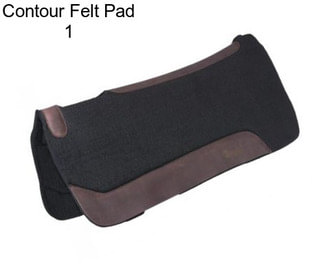 Contour Felt Pad 1\