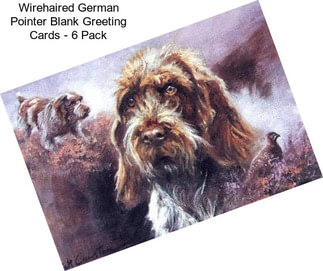 Wirehaired German Pointer Blank Greeting Cards - 6 Pack