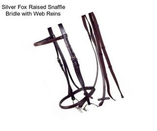 Silver Fox Raised Snaffle Bridle with Web Reins