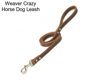 Weaver Crazy Horse Dog Leash