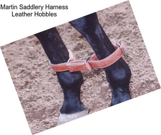 Martin Saddlery Harness Leather Hobbles