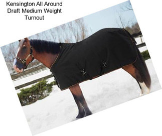 Kensington All Around Draft Medium Weight Turnout