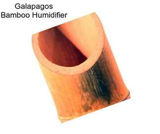 Galapagos Bamboo Humidifier