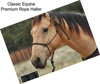 Classic Equine Premium Rope Halter