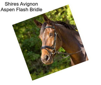 Shires Avignon Aspen Flash Bridle