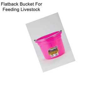 Flatback Bucket For Feeding Livestock