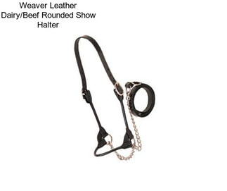 Weaver Leather Dairy/Beef Rounded Show Halter