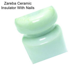 Zareba Ceramic Insulator With Nails