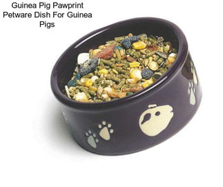 Guinea Pig Pawprint Petware Dish For Guinea Pigs