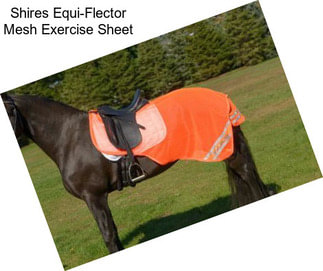 Shires Equi-Flector Mesh Exercise Sheet