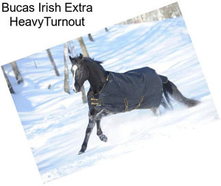 Bucas Irish Extra HeavyTurnout