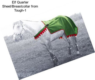 Elf Quarter Sheet/Breastcollar from Tough-1