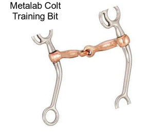 Metalab Colt Training Bit