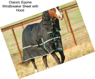 Classic Equine Windbreaker Sheet with Hood