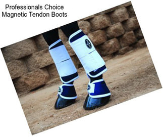 Professionals Choice Magnetic Tendon Boots