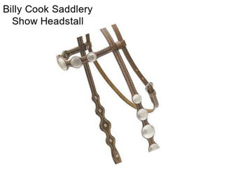 Billy Cook Saddlery Show Headstall