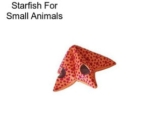 Starfish For Small Animals