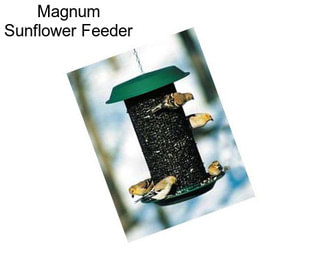 Magnum Sunflower Feeder