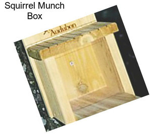 Squirrel Munch Box