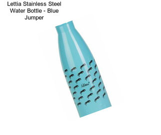 Lettia Stainless Steel Water Bottle - Blue Jumper