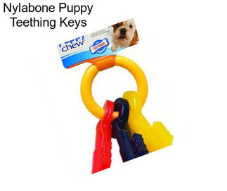 Nylabone Puppy Teething Keys