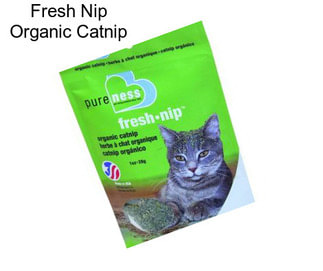 Fresh Nip Organic Catnip