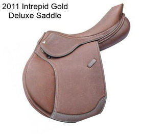 2011 Intrepid Gold Deluxe Saddle