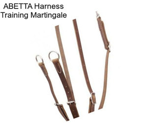 ABETTA Harness Training Martingale