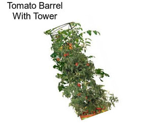 Tomato Barrel With Tower