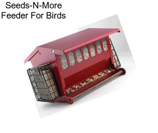 Seeds-N-More Feeder For Birds