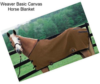 Weaver Basic Canvas Horse Blanket