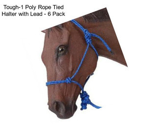 Tough-1 Poly Rope Tied Halter with Lead - 6 Pack