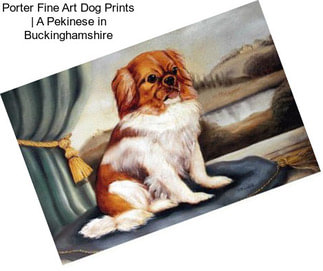 Porter Fine Art Dog Prints | A Pekinese in Buckinghamshire