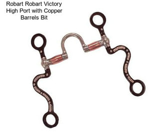 Robart Robart Victory High Port with Copper Barrels Bit