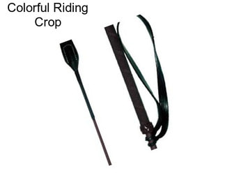 Colorful Riding Crop