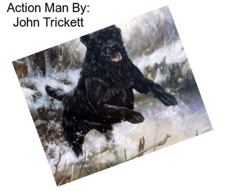 Action Man By: John Trickett