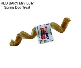 RED BARN Mini Bully Spring Dog Treat