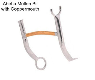 Abetta Mullen Bit with Coppermouth