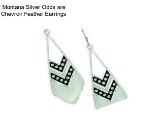 Montana Silver Odds are Chevron Feather Earrings