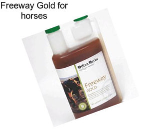 Freeway Gold for horses