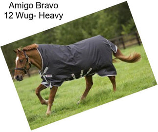 Amigo Bravo 12 Wug- Heavy