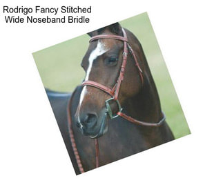 Rodrigo Fancy Stitched Wide Noseband Bridle